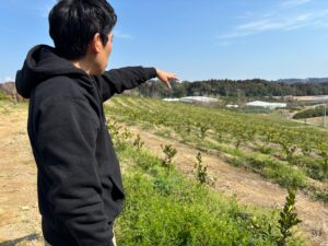 常識を超えた農業を。「強いみかん」栽培で日本のみかんを海外へ。